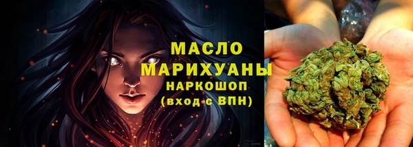 твердый Новозыбков