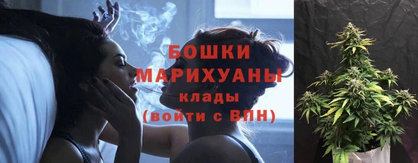 МДПВ Новодвинск