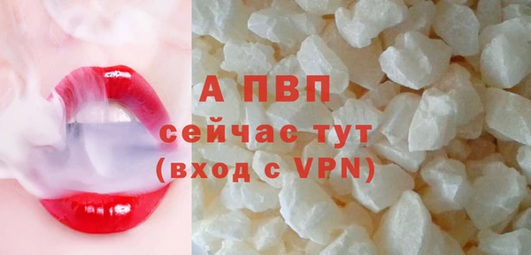 твердый Новозыбков