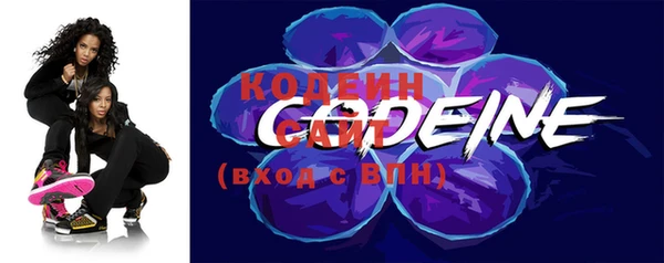 твердый Новозыбков
