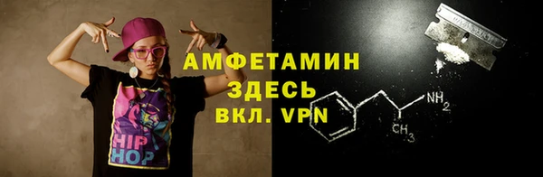 твердый Новозыбков