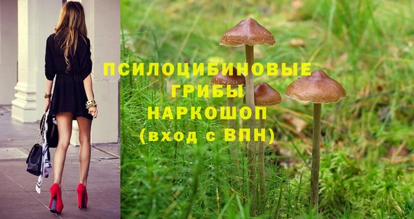 стаф Нея