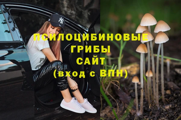 МДПВ Новодвинск