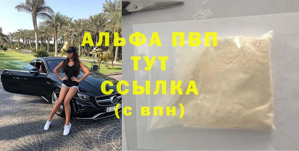 твердый Новозыбков