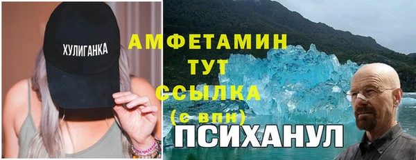 твердый Новозыбков