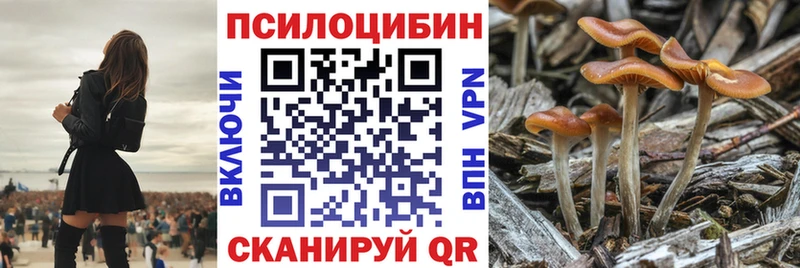 Галлюциногенные грибы Magic Shrooms  купить закладку  hydra ссылка  Новокубанск 